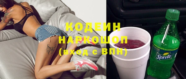 прущие грибы Балахна