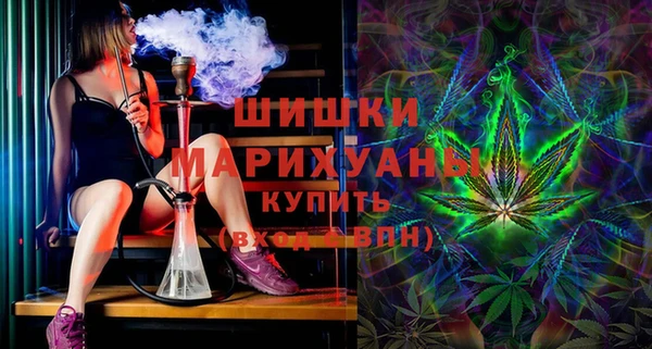 прущие грибы Балахна