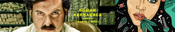 прущие грибы Балахна