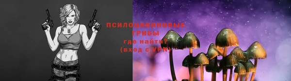 Альфа ПВП Баксан