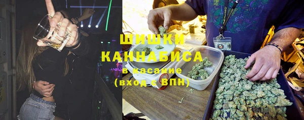 прущие грибы Балахна