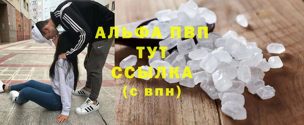 прущие грибы Балахна